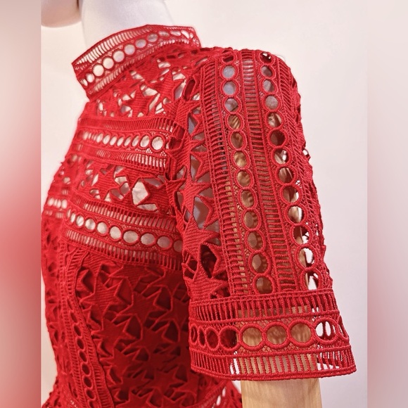 HIGH NECK STAR LACE PANELLED DRESS By Self-portrait - Picture 6 of 10